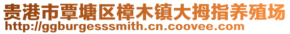 貴港市覃塘區(qū)樟木鎮(zhèn)大拇指養(yǎng)殖場(chǎng)