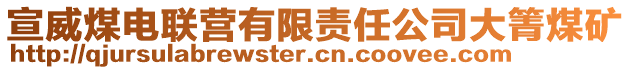 宣威煤電聯(lián)營有限責(zé)任公司大箐煤礦