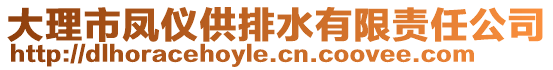 大理市鳳儀供排水有限責(zé)任公司