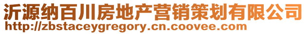 沂源納百川房地產(chǎn)營(yíng)銷策劃有限公司