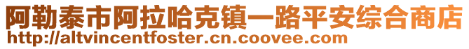 阿勒泰市阿拉哈克镇一路平安综合商店