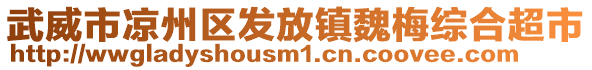 武威市涼州區(qū)發(fā)放鎮(zhèn)魏梅綜合超市