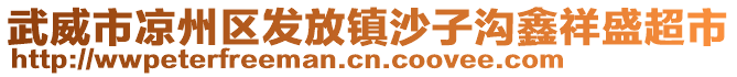 武威市涼州區(qū)發(fā)放鎮(zhèn)沙子溝鑫祥盛超市