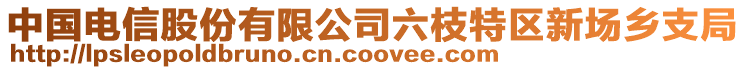 中國電信股份有限公司六枝特區(qū)新場鄉(xiāng)支局