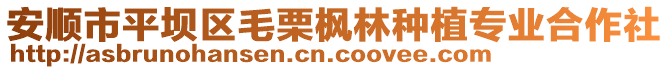 安順市平壩區(qū)毛栗楓林種植專業(yè)合作社