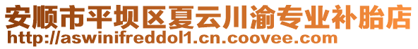 安順市平壩區(qū)夏云川渝專業(yè)補胎店