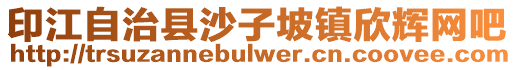 印江自治縣沙子坡鎮(zhèn)欣輝網(wǎng)吧