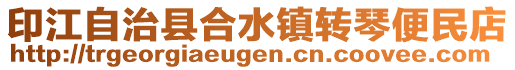 印江自治縣合水鎮(zhèn)轉(zhuǎn)琴便民店