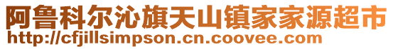 阿鲁科尔沁旗天山镇家家源超市