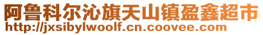 阿鲁科尔沁旗天山镇盈鑫超市