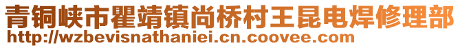 青銅峽市瞿靖鎮(zhèn)尚橋村王昆電焊修理部