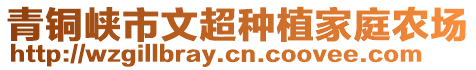 青銅峽市文超種植家庭農(nóng)場(chǎng)