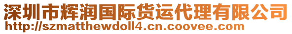 深圳市輝潤國際貨運(yùn)代理有限公司