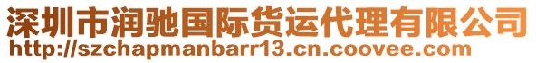 深圳市潤馳國際貨運(yùn)代理有限公司