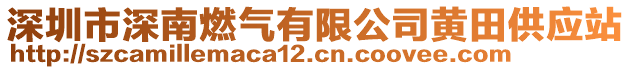 深圳市深南燃?xì)庥邢薰军S田供應(yīng)站