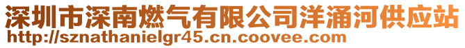 深圳市深南燃?xì)庥邢薰狙笥亢庸?yīng)站