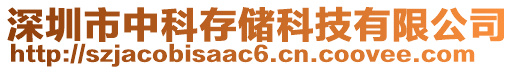 深圳市中科存儲(chǔ)科技有限公司