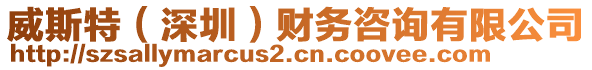 威斯特（深圳）財(cái)務(wù)咨詢(xún)有限公司