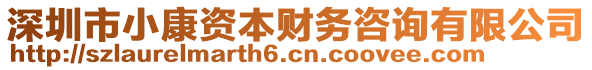 深圳市小康資本財務(wù)咨詢有限公司