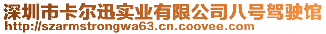 深圳市卡爾迅實(shí)業(yè)有限公司八號(hào)駕駛館