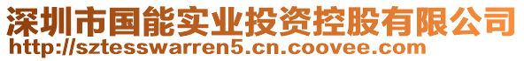 深圳市國能實(shí)業(yè)投資控股有限公司