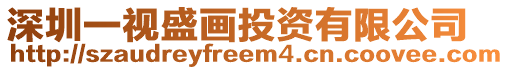 深圳一視盛畫投資有限公司