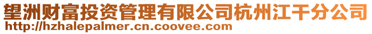 望洲財富投資管理有限公司杭州江干分公司