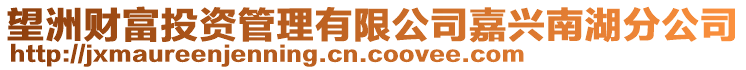 望洲財(cái)富投資管理有限公司嘉興南湖分公司