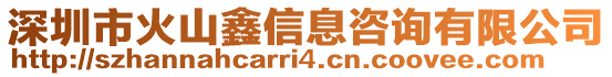 深圳市火山鑫信息咨詢有限公司