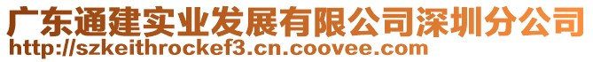 广东通建实业发展有限公司深圳分公司