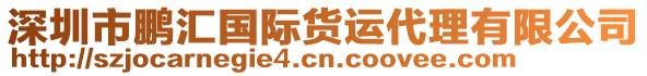 深圳市鹏汇国际货运代理有限公司