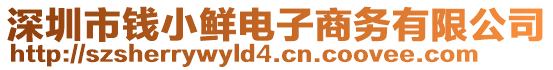 深圳市錢小鮮電子商務(wù)有限公司