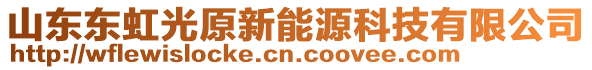 山東東虹光原新能源科技有限公司