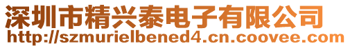 深圳市精興泰電子有限公司