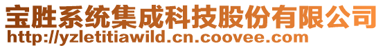 寶勝系統(tǒng)集成科技股份有限公司