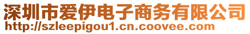 深圳市愛伊電子商務(wù)有限公司