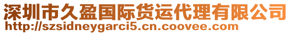 深圳市久盈國(guó)際貨運(yùn)代理有限公司