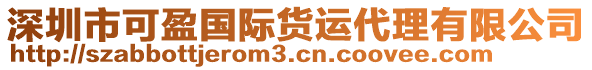 深圳市可盈國際貨運代理有限公司