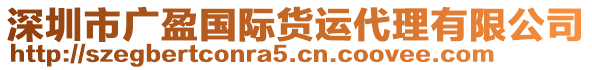 深圳市廣盈國際貨運(yùn)代理有限公司