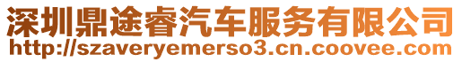 深圳鼎途睿汽車服務有限公司