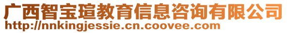 廣西智寶瑄教育信息咨詢(xún)有限公司