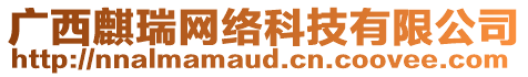 廣西麒瑞網(wǎng)絡(luò)科技有限公司