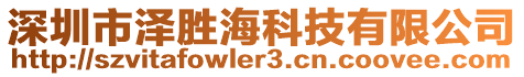 深圳市澤勝?？萍加邢薰? style=