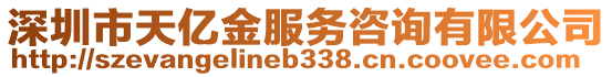 深圳市天億金服務(wù)咨詢(xún)有限公司