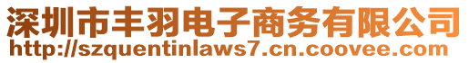 深圳市豐羽電子商務(wù)有限公司