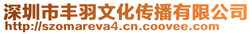 深圳市豐羽文化傳播有限公司