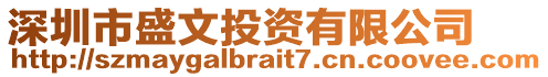 深圳市盛文投資有限公司