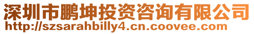 深圳市鵬坤投資咨詢有限公司