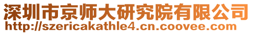 深圳市京師大研究院有限公司