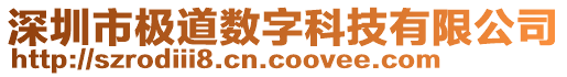 深圳市極道數(shù)字科技有限公司